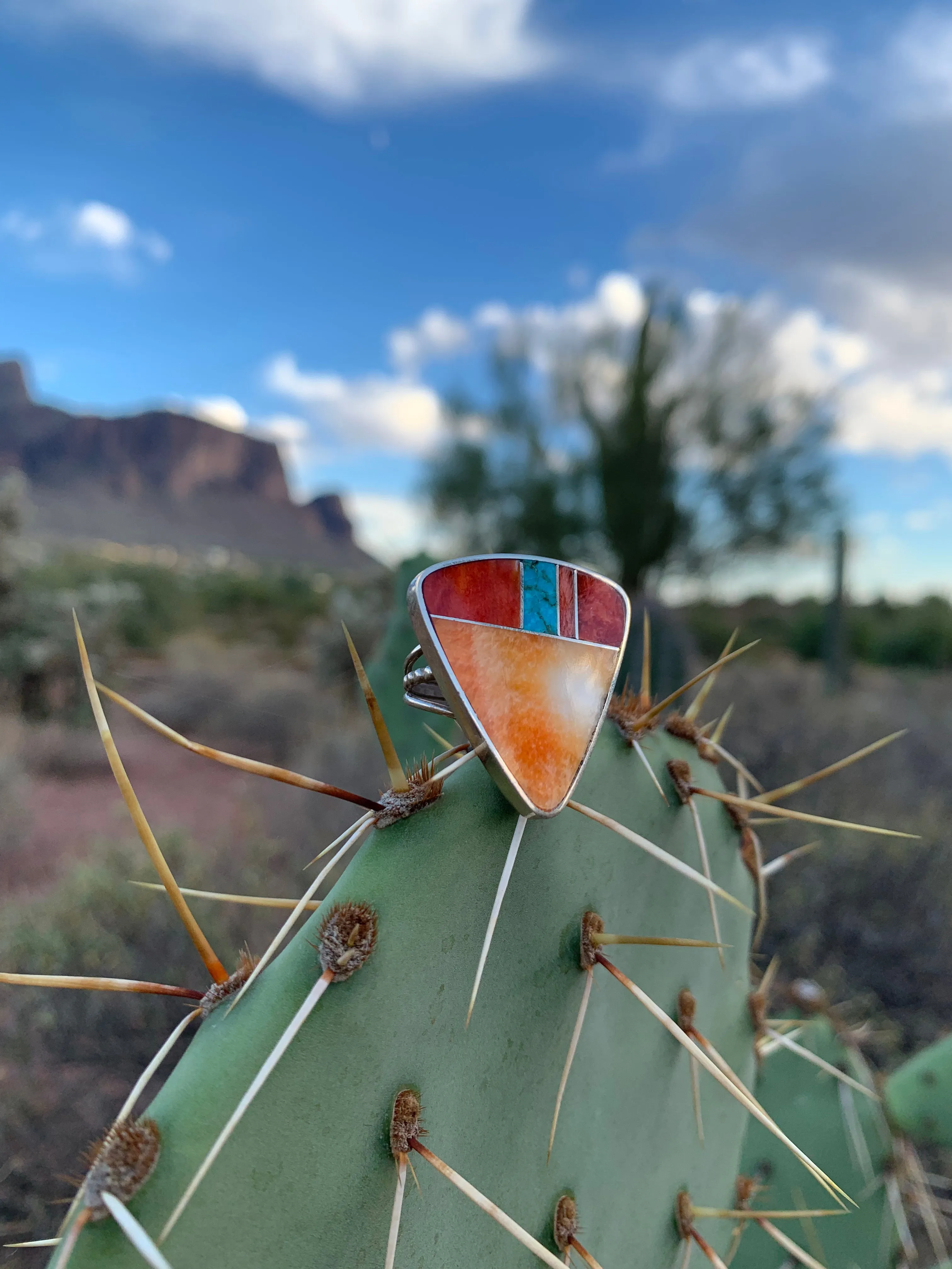 Inlay of Spiny Shell & Turquoise ring size 6 1/2