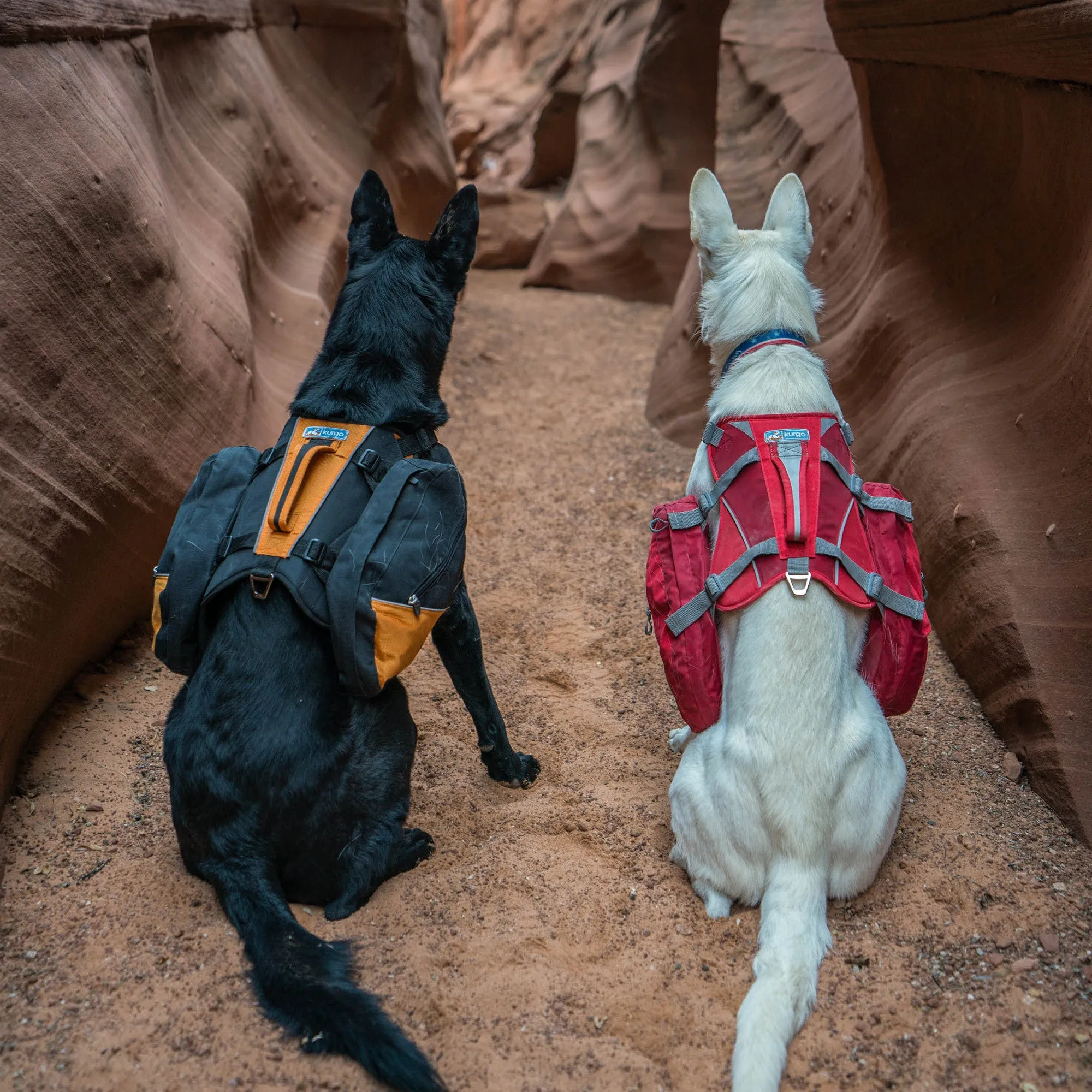 Kurgo Big Baxter Dog Backpack - Orange